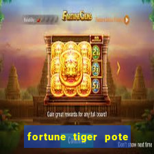 fortune tiger pote de ouro completo